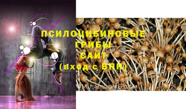стаф Переславль-Залесский